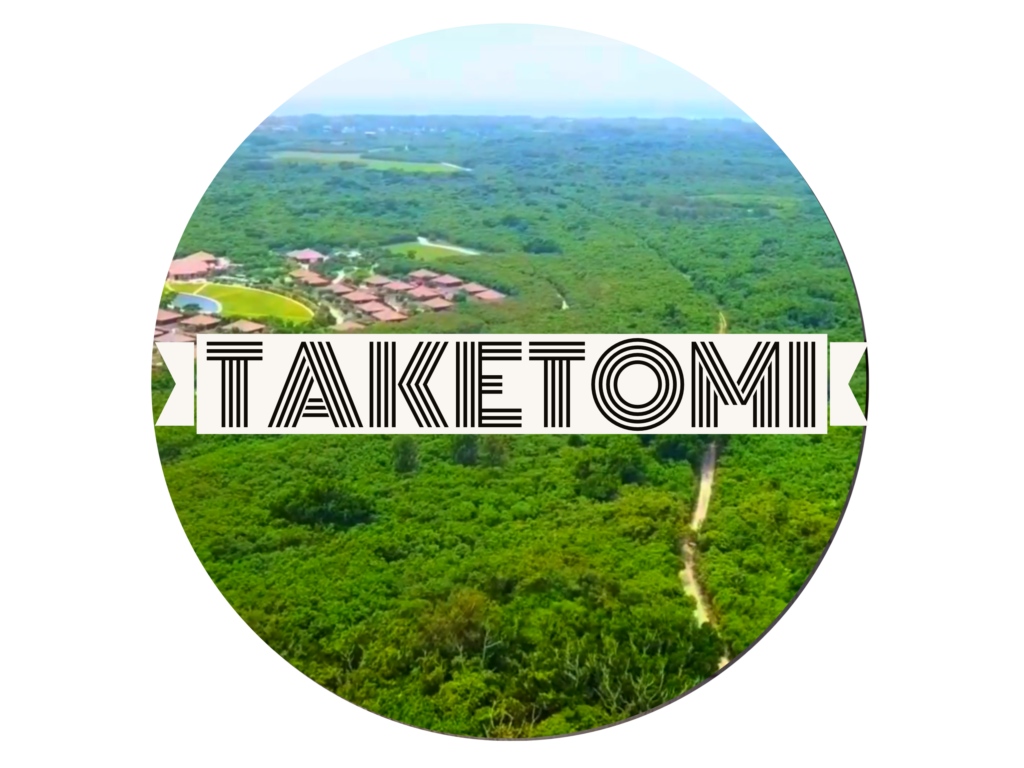 竹富島の魅力を空から