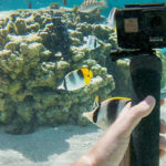 【GoPro】水中・海中撮影で知っておきたい設定とオススメアイテム13選