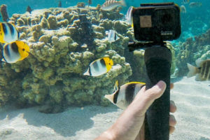 【GoPro】水中・海中撮影で知っておきたい設定とオススメアイテム13選