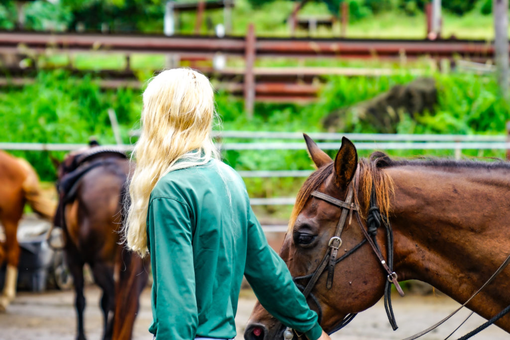 ホノルルDAY4 / ノースショアを目指してドライビング