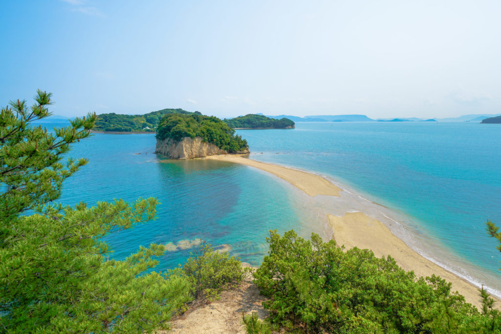 直島・小豆島 / Day1 / 小豆島でオリーブ農園とエンジェルロード