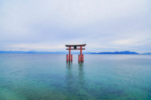京都 / Day3 / 仁和寺 → 絶景白髭神社へ