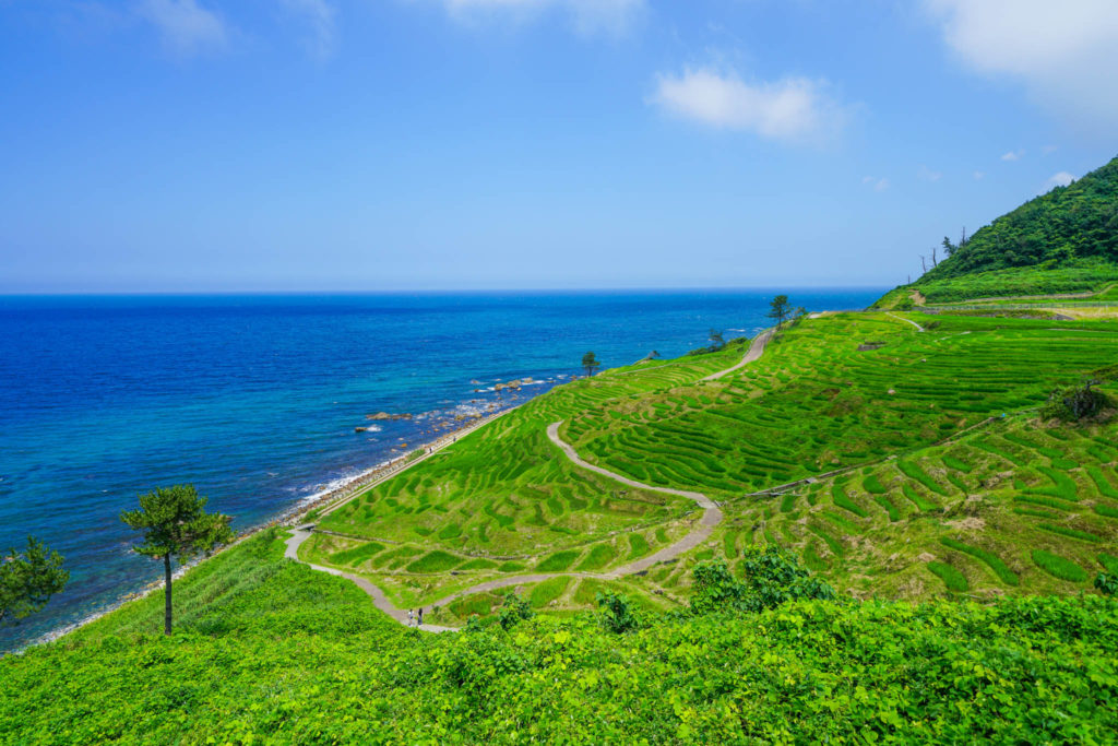 金沢 / Day3 / なぎさドライブウェイ → 白米千枚田 → 21世紀美術館