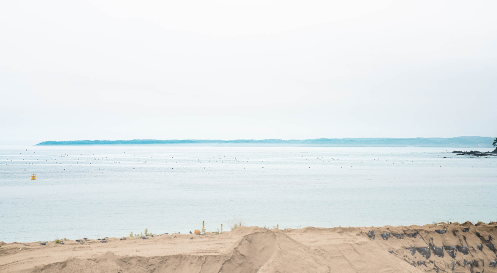 気仙沼 / Day3 / 最終日まで食をしっかりと楽しみます