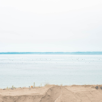 気仙沼 / Day3 / 最終日まで食をしっかりと楽しみます