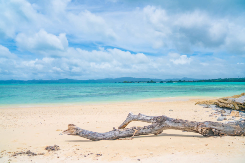 GoPro/ あなたの撮影スタイルに最適なSDカードの容量を徹底解説！&オススメ４選