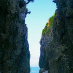 沖縄・恩納村 / Day2 / 万座毛 → 備瀬のフクギ並木 → 備瀬のワルミ→ しまぶた屋