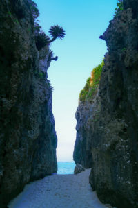 沖縄・恩納村 / Day2 / 万座毛 → 備瀬のフクギ並木 → 備瀬のワルミ→ しまぶた屋