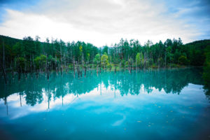 北海道 / Day2 / 美瑛町 青い池 → 白ひげの滝 → 星野リゾート トマム → 水の教会